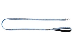 Ami Play Wink Pet Leash Large 2cm - Blue