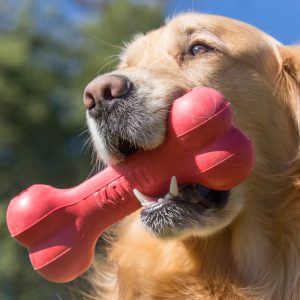 KONG Goodie Bone Treat Dispensing Dog Toy - Large Red (21.5cm)