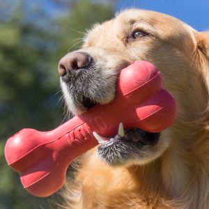 KONG Goodie Bone Treat Dispensing Dog Toy - X-Large