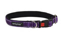 Ami Play Reflective Adjustable Durable Dog Collar - Large Purple (2cm)