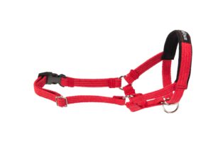 Ami Play Cotton Adjustable Durable Dog Halter - Small Red