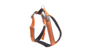 Ami Play Grand Cotton Adjustable Durable Dog Harness - Medium Orange (2cm)
