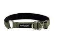 Ami Play Cotton Half Choke Adjustable Dog Collar - Small Green (1.5cm)