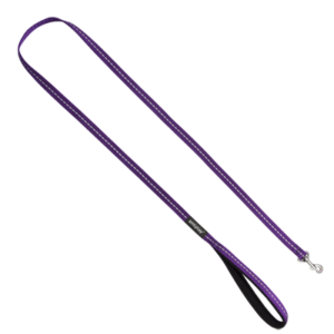 Ami Play Reflective Pet Leash Large 2cm - Purple