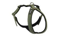 Ami Play Grand Cotton Adjustable Durable Dog Harness - Large Green (2.5cm)