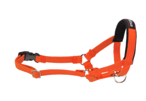 Ami Play Cotton Adjustable Durable Dog Halter - Small Orange