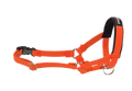 Ami Play Cotton Adjustable Durable Dog Halter - Large Orange