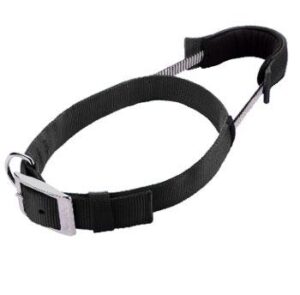Patento Basic Adjustable Reflective Dog Collar with Integrated Leash - Large Black (49-59cm)