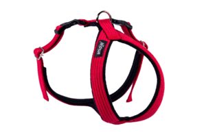 Ami Play Grand Cotton Adjustable Durable Dog Harness - Large Red (2.5cm)