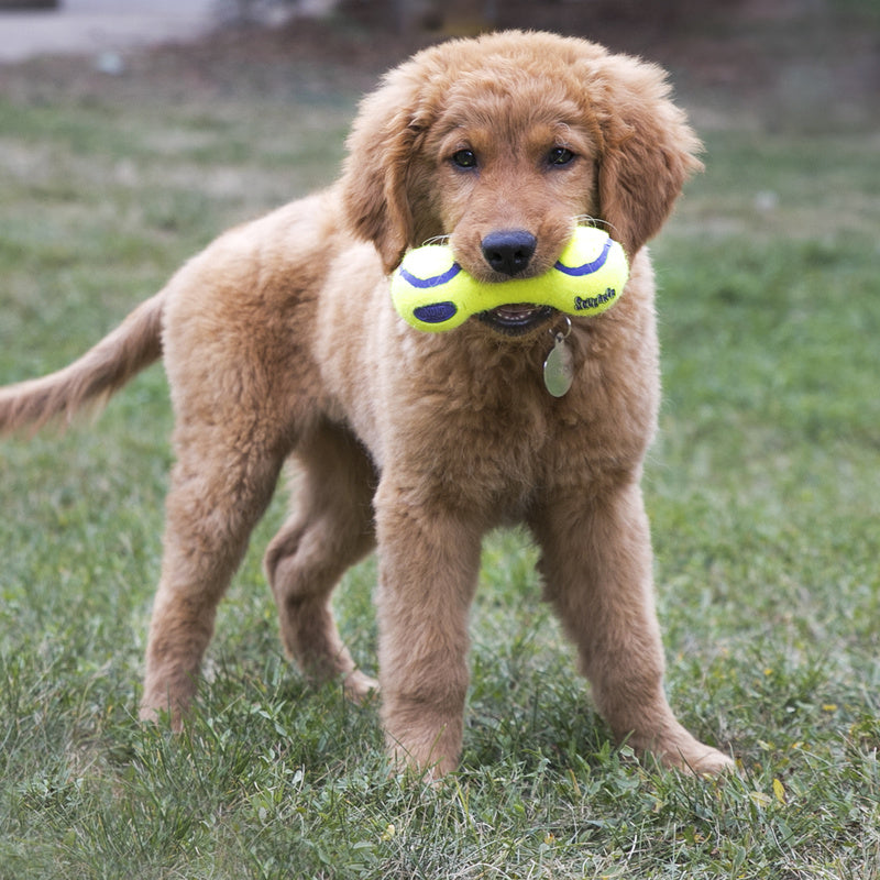 KONG Air Squeaker Dumbbell Squeaky Dog Toy Large 23.5cm