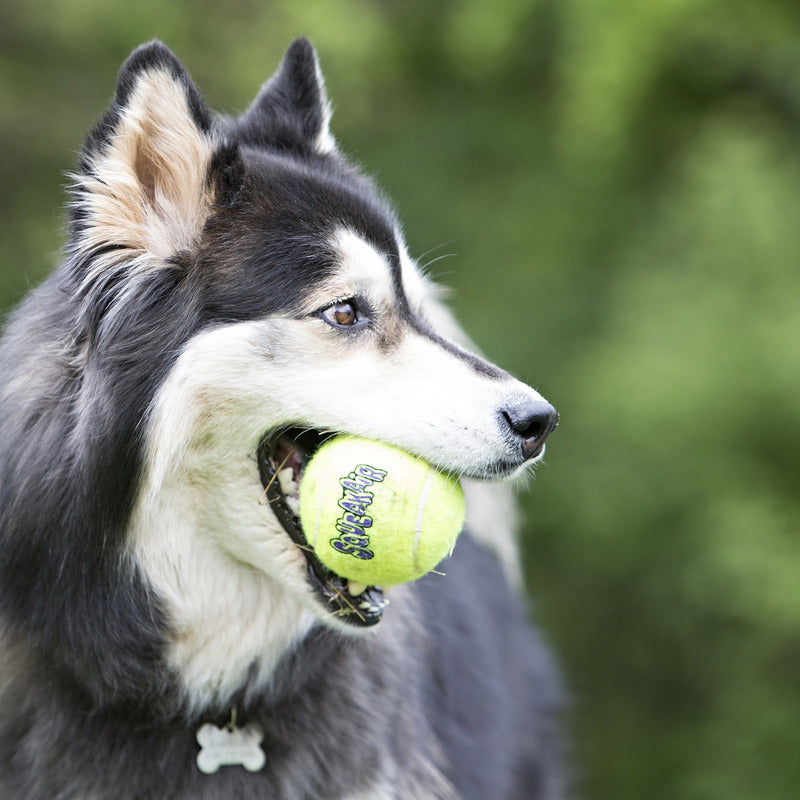 KONG Air Squeaker Tennis Ball Squeaky Dog Toy X-Large