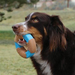 KONG CoreStrength Bamboo Bone Durable Dog Chew Toy Large