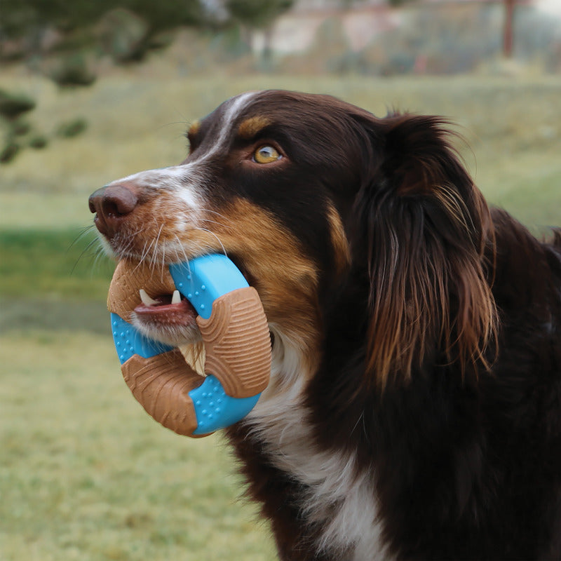 KONG CoreStrength Bamboo Bone Durable Dog Chew Toy Large