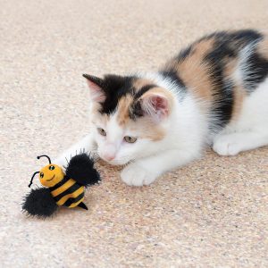 KONG Better Buzz Bee Interactive Cat Toy