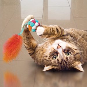 KONG Active Bubble Ball Interactive Cat Toy - Assorted