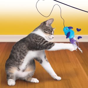 KONG Feather Teaser Interactive Cat Toy