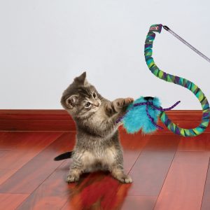 KONG Curlz Teaser Interactive Cat Toy