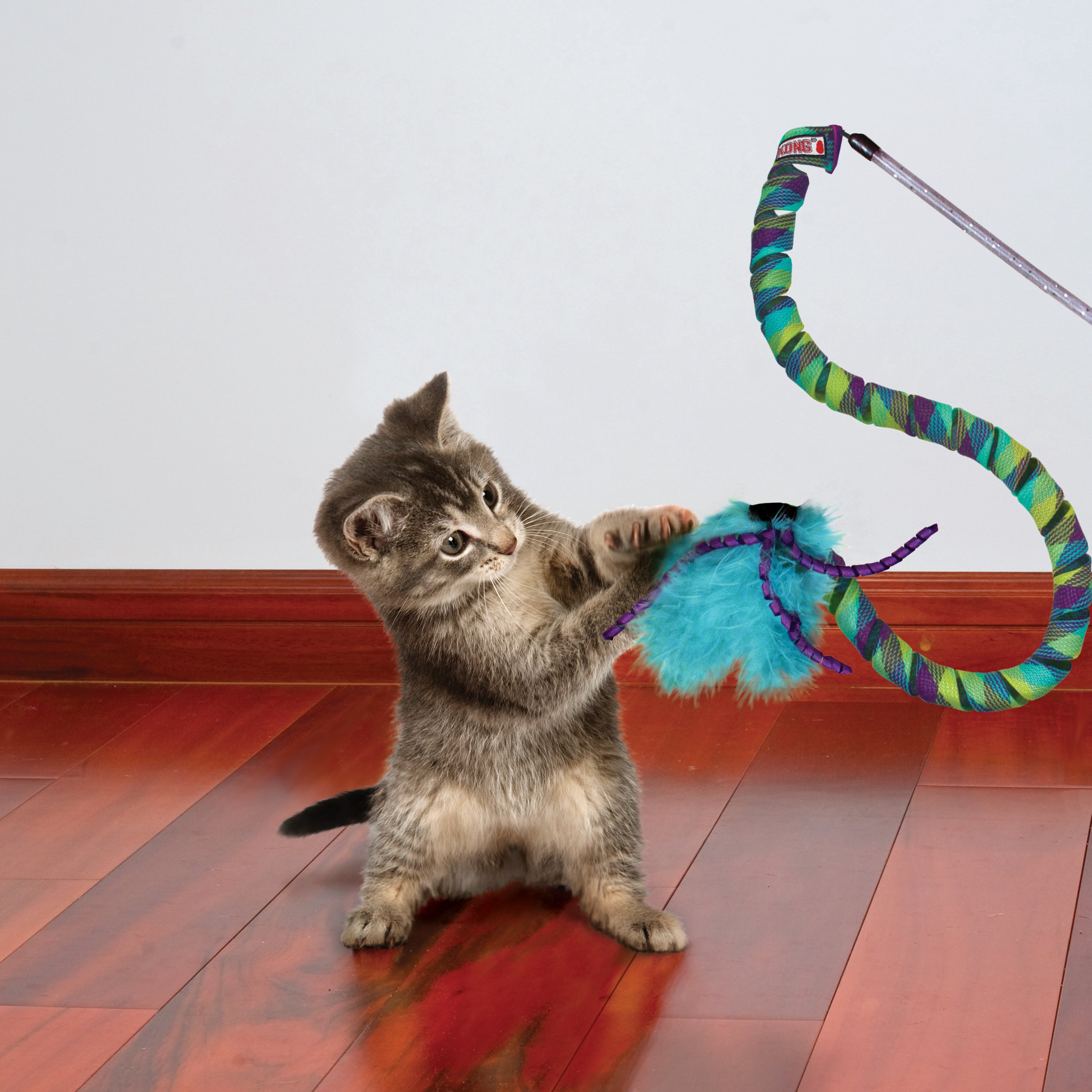 KONG Curlz Teaser Interactive Cat Toy