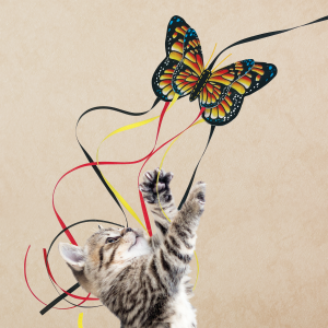 KONG Teaser Butterfly Interactive Crinkle Cat Toy - Assorted