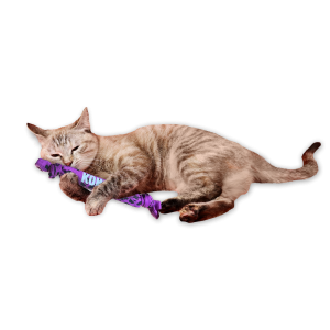 KONG Kickeroo Crunch Interactive Crinkle Cat Toy - Assorted