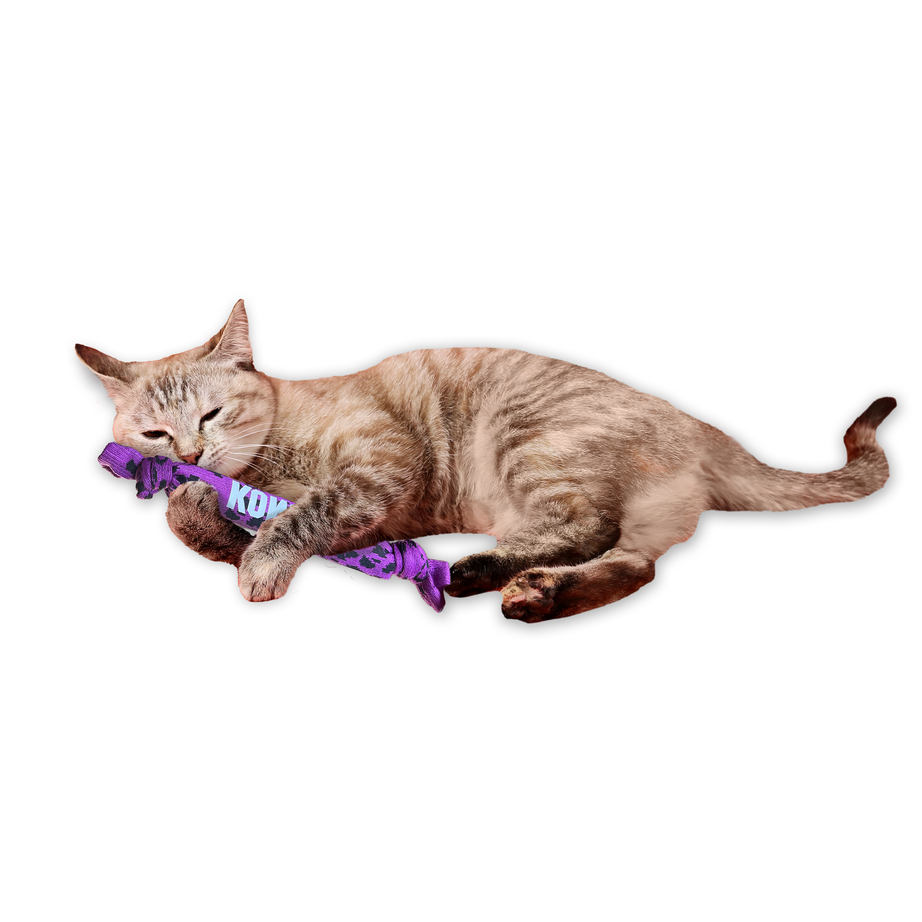KONG Kickeroo Crunch Interactive Crinkle Cat Toy - Assorted