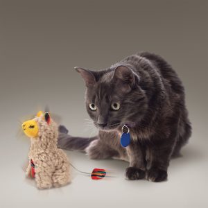KONG Softies Buzzy Llama Squeaky Cat Toy
