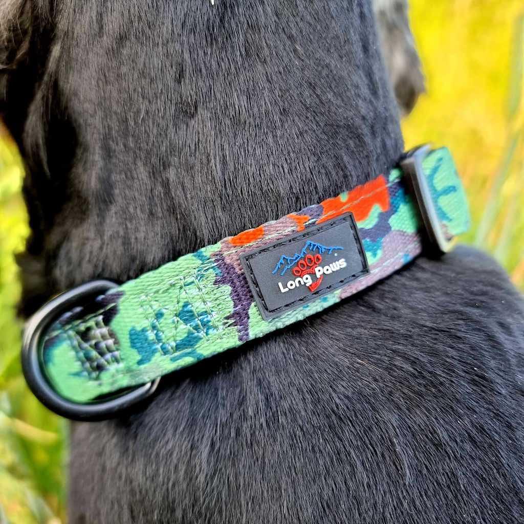 Harleys Companions - Citrus Camo Dog Collar