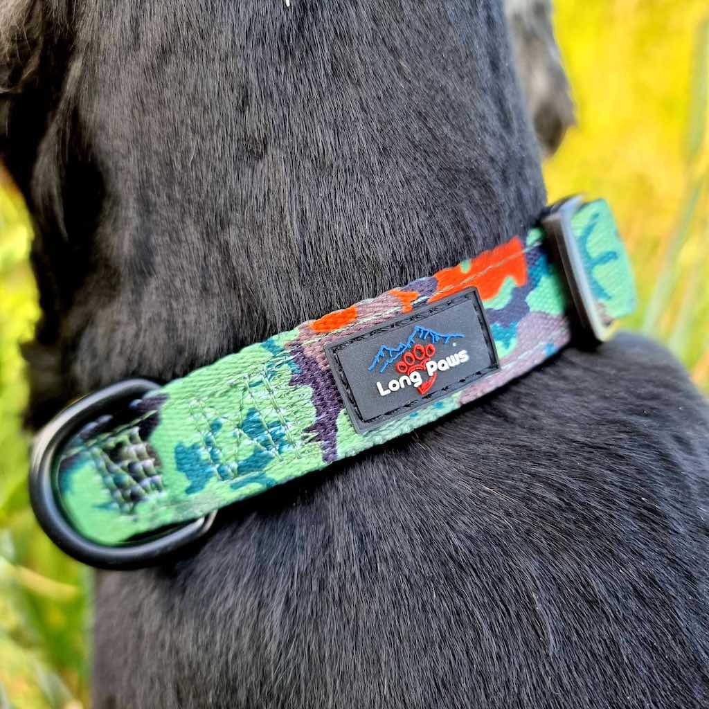 Harleys Companions - Earth Friendly - Trig Point Collar & Lead Set