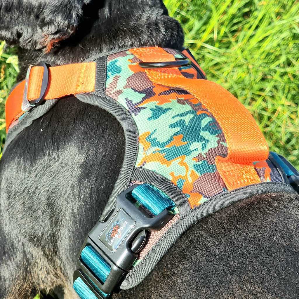 Harleys Companions - Earth Friendly - Trig Point Harness and Lead Set
