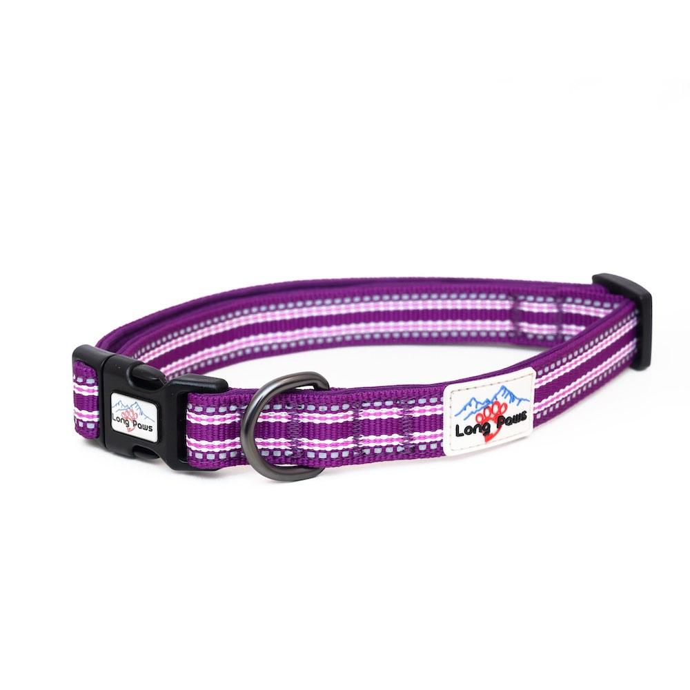 Harleys Companions - Comfort Reflective Padded Dog Collar | Purple