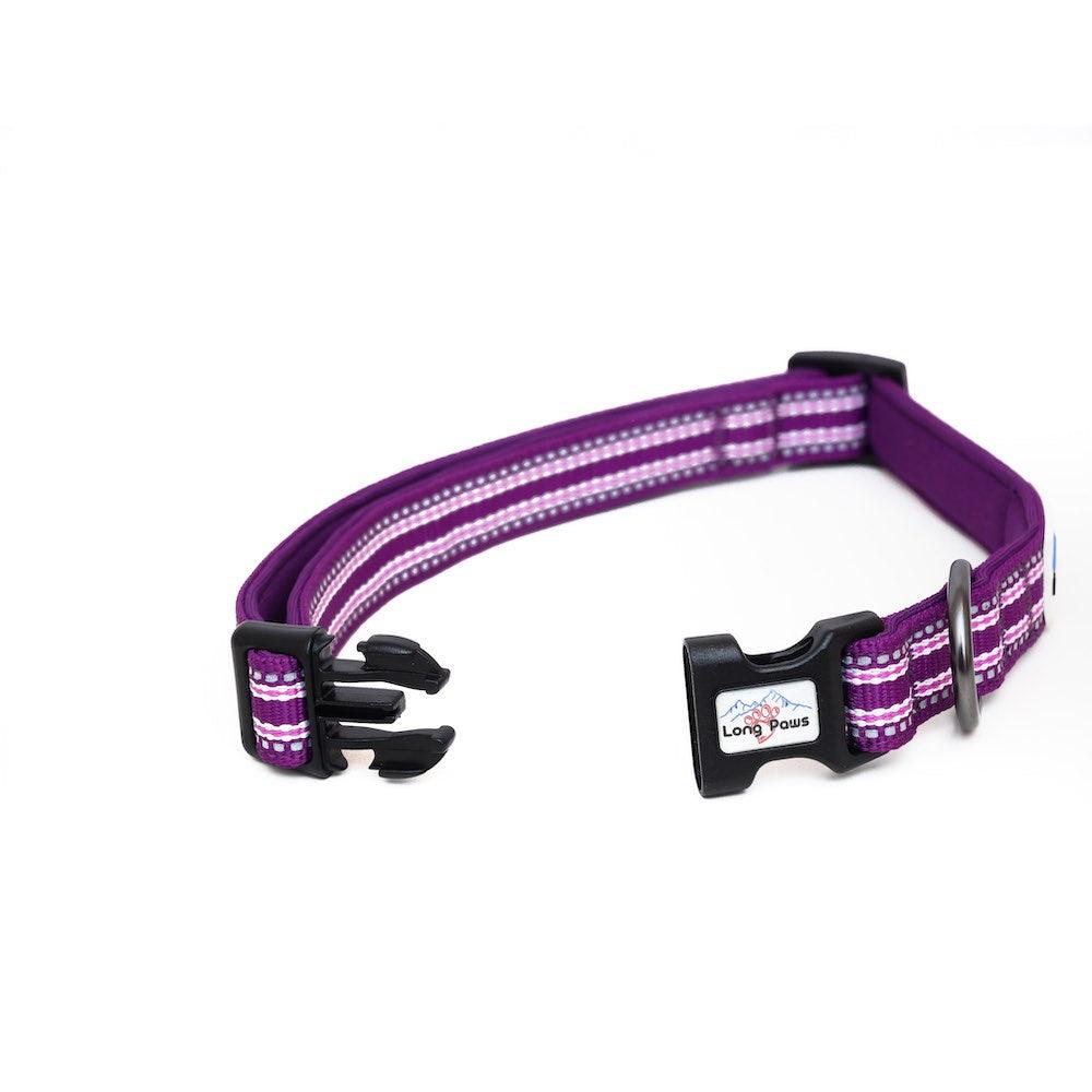 Harleys Companions - Comfort Reflective Padded Dog Collar | Purple