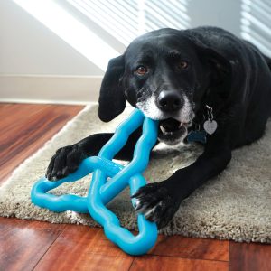 KONG Flyangle Durable Fetch Dog Toy - Large Assorted