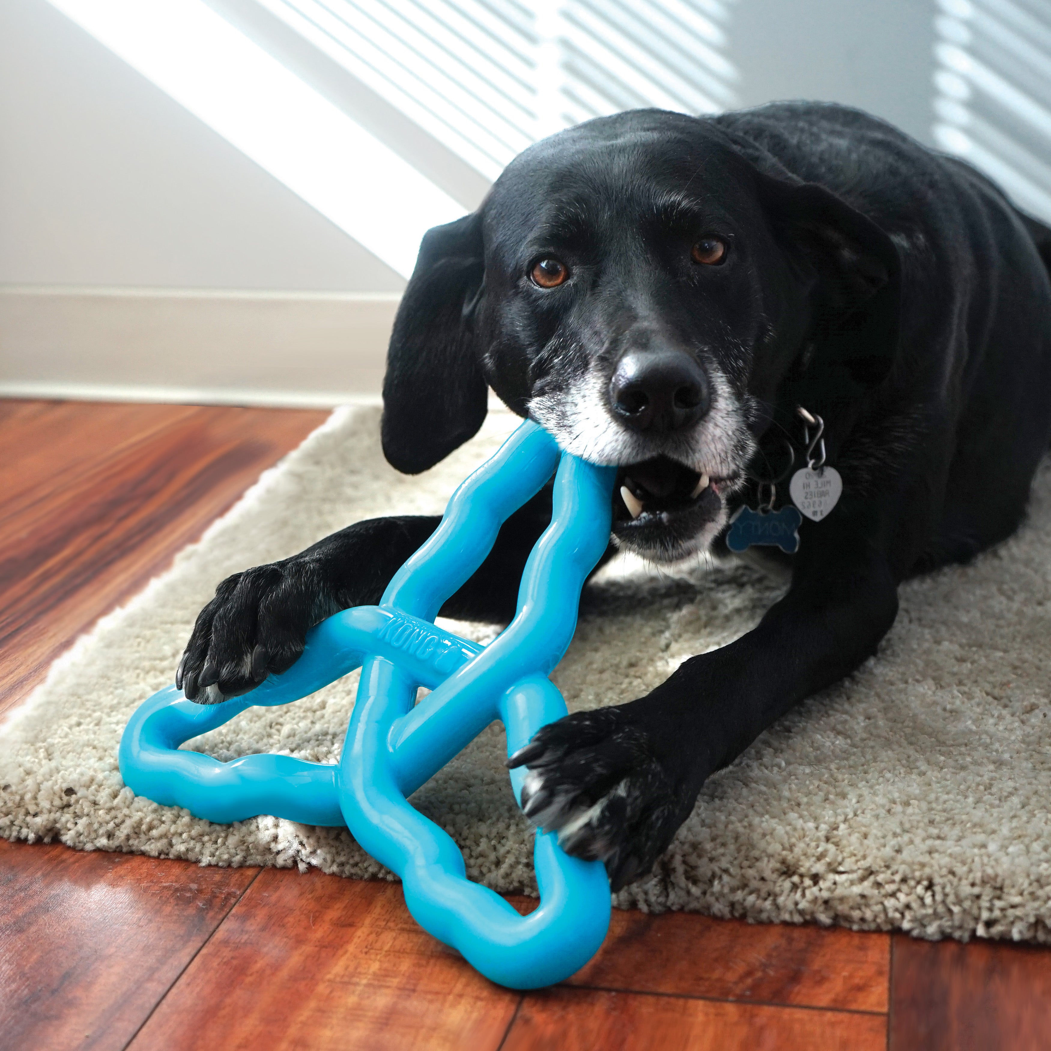 KONG Flyangle Durable Fetch Dog Toy - Large Assorted