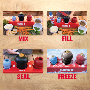 KONG Fill or Freeze Tray for Dog Treats