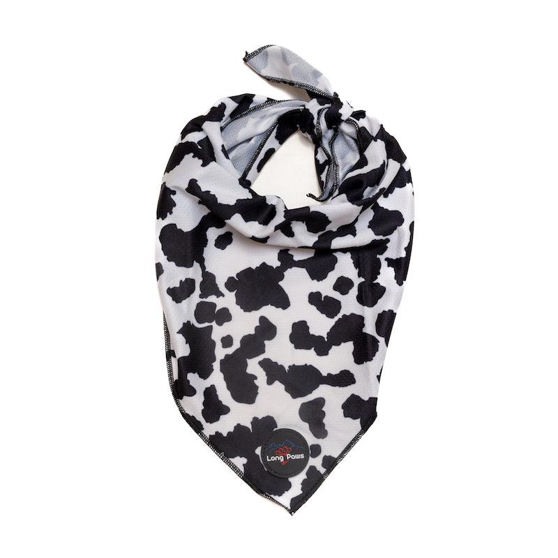 Harleys Companions - Funk The Dog Bandana | Cow Print