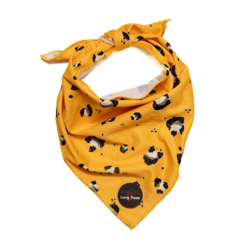Harleys Companions - Bandana Bundle - Size Small