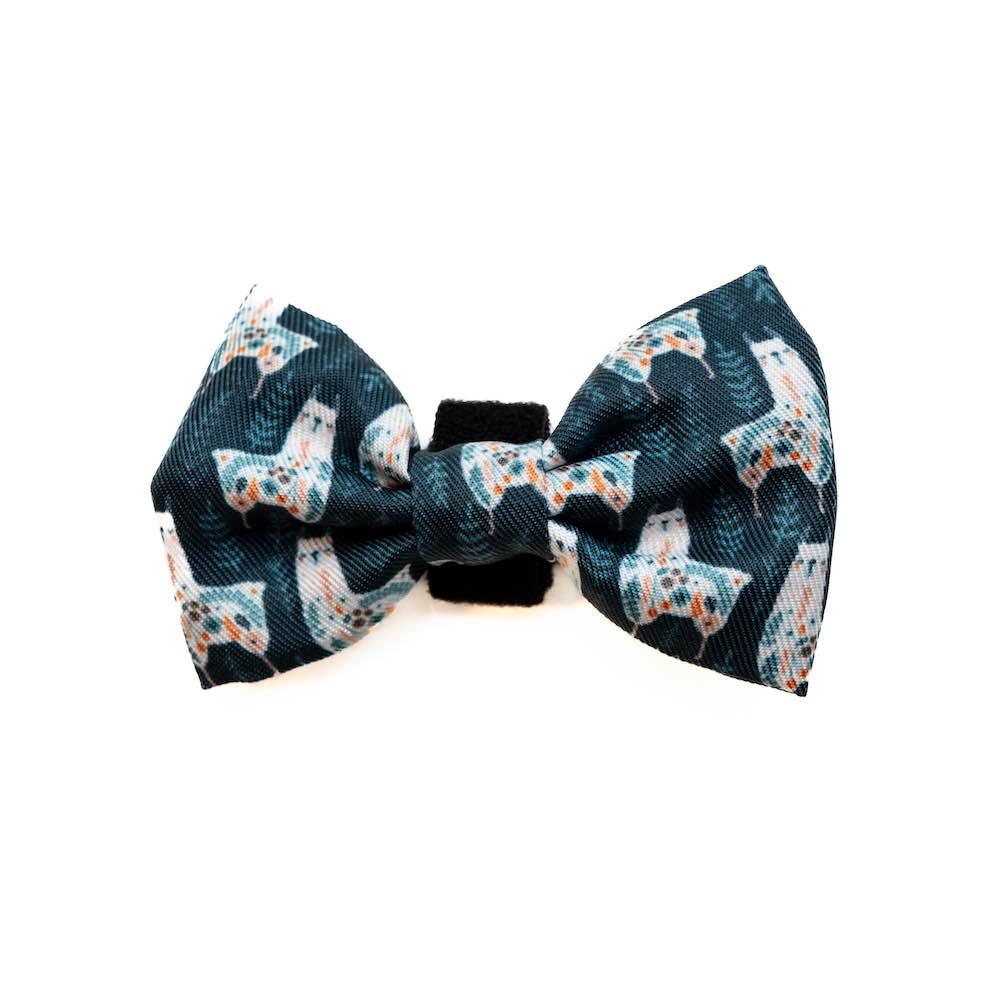 Harleys Companions - Funk The Dog Bow | Llama Llama Llama