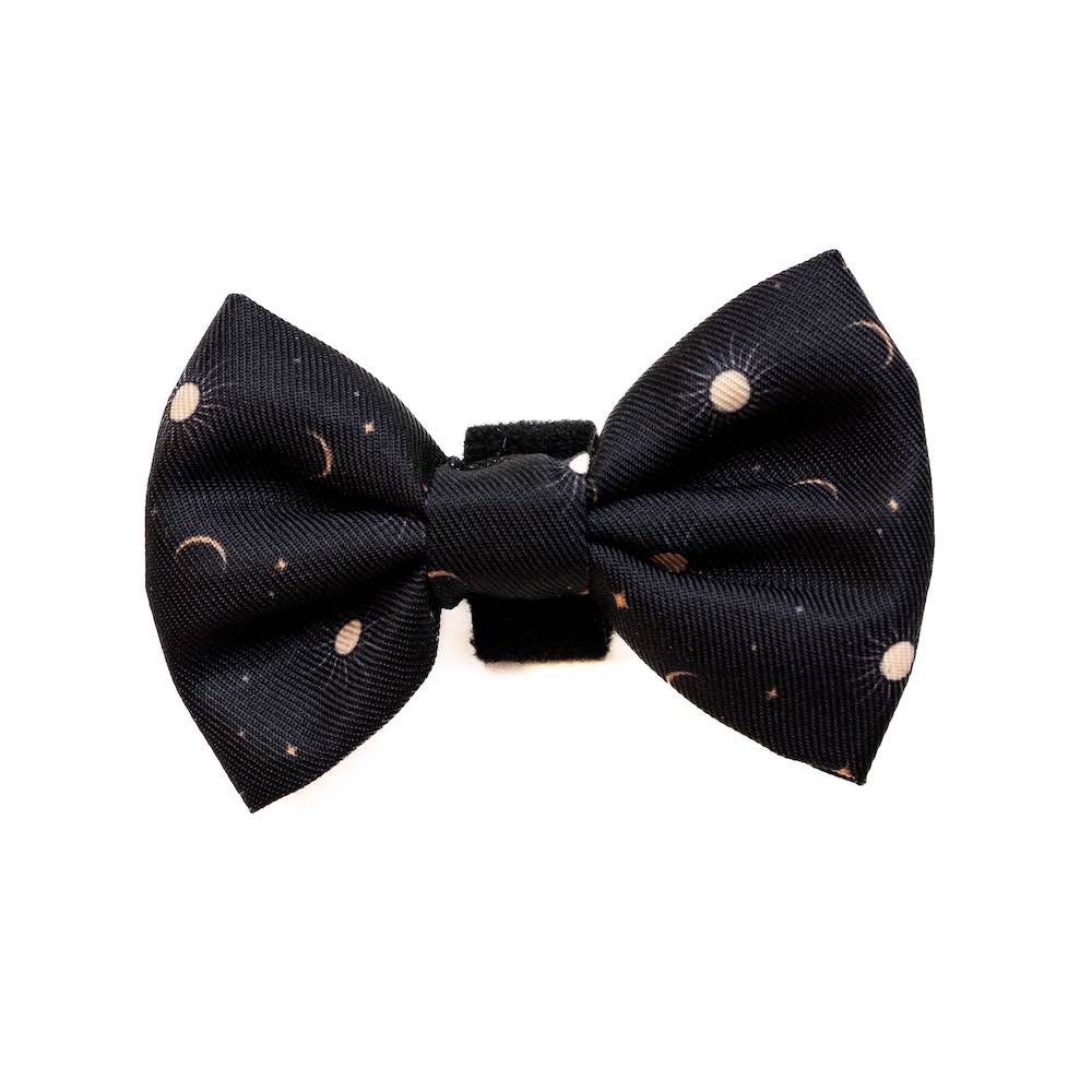 Harleys Companions - Funk the Dog Lead & Bowtie Set | Night Sky