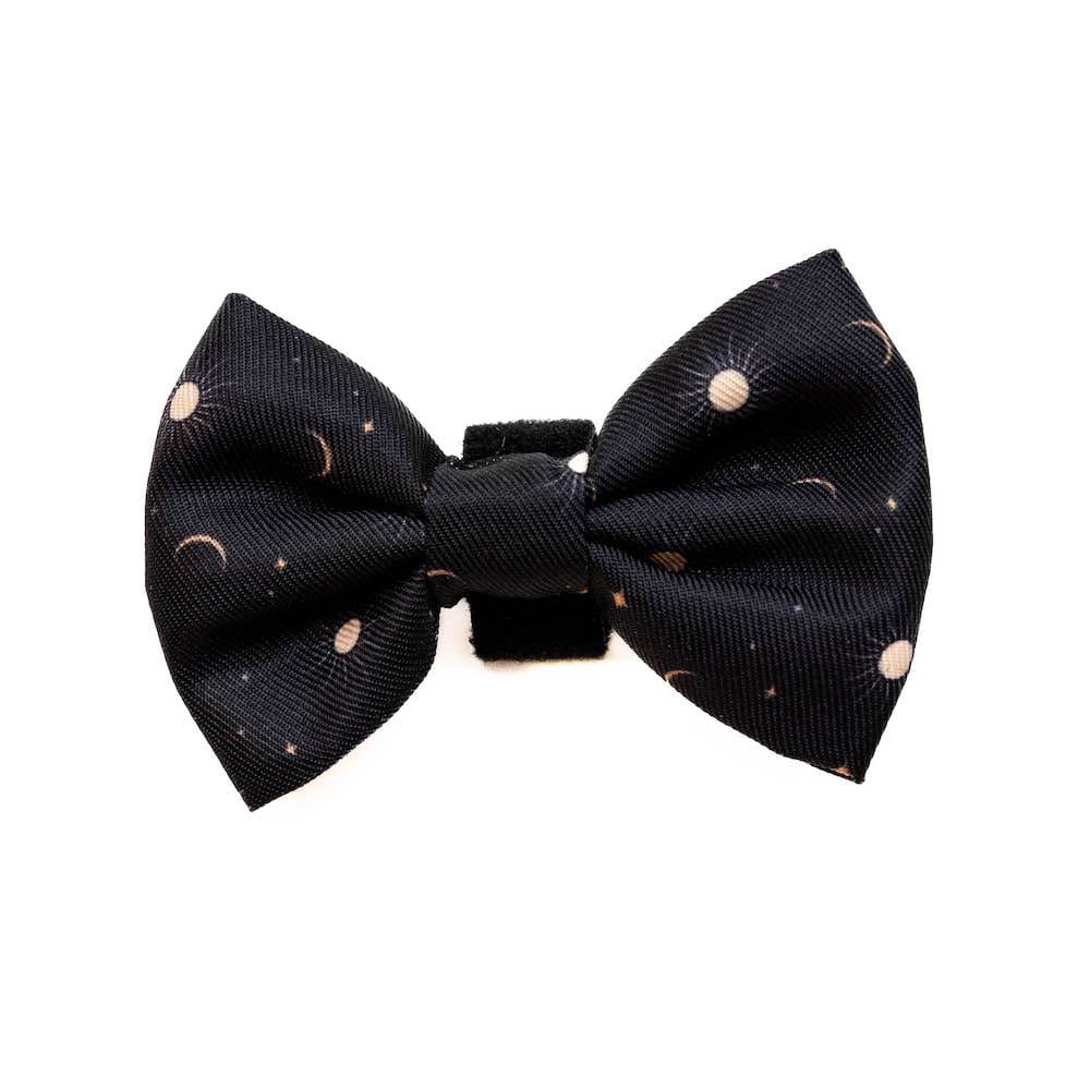 Harleys Companions - Funk the Dog Collar, Bowtie, & Bandana Set | Night Sky