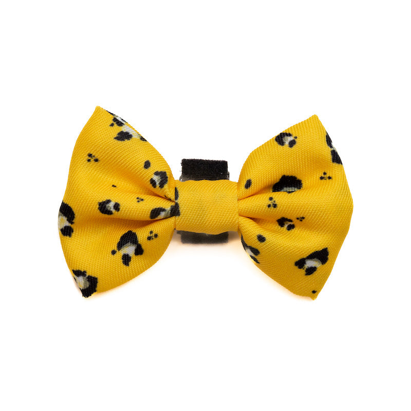 Harleys Companions - Funk the Dog Lead & Bowtie Set | Mustard Panda | Yellow Leopard