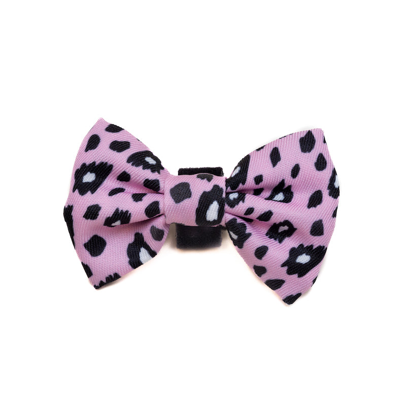 Harleys Companions - Funk the Dog Collar & Bow Set | Pink Leopard