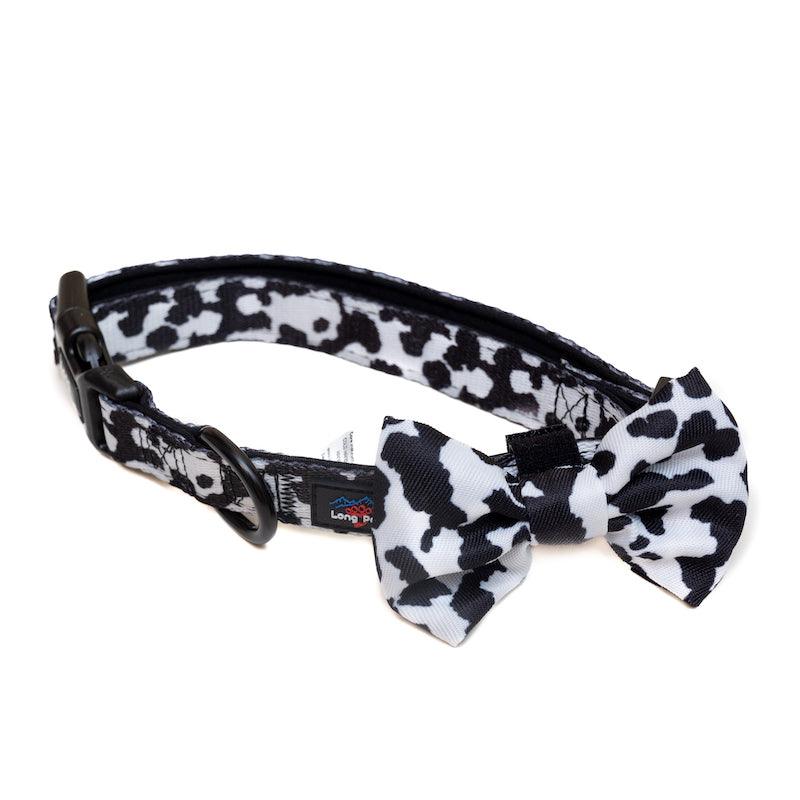 Harleys Companions - Funk The Dog Bow | Cow Print