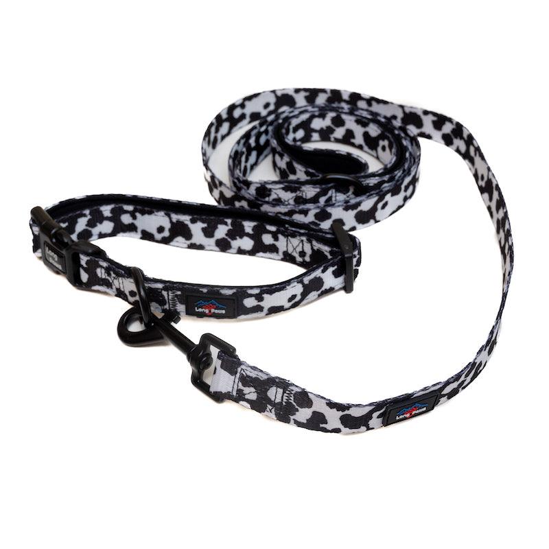 Harleys Companions - Funk the Dog Collar & Lead Set | Cow Print