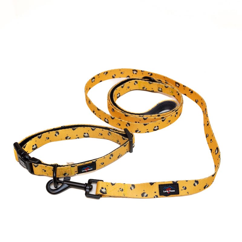 Harleys Companions - Funk The Dog Padded Dog Collar | Mustard Panda
