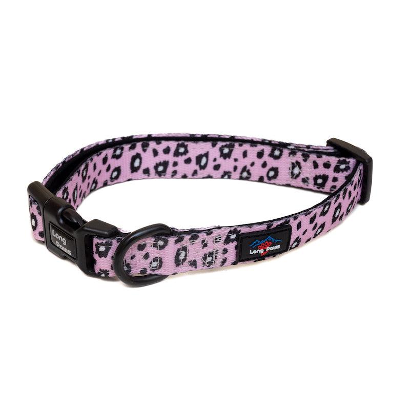 Harleys Companions - Funk The Dog Padded Dog Collar | Pink Leopard