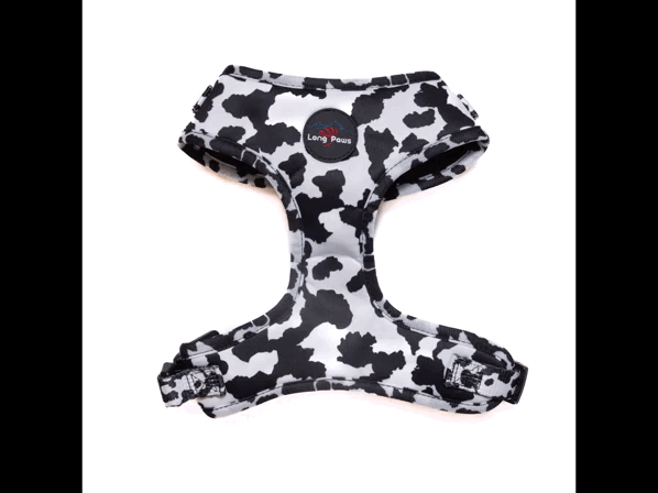 Harleys Companions - Funk The Dog Harness | Cow Print Dog Harness