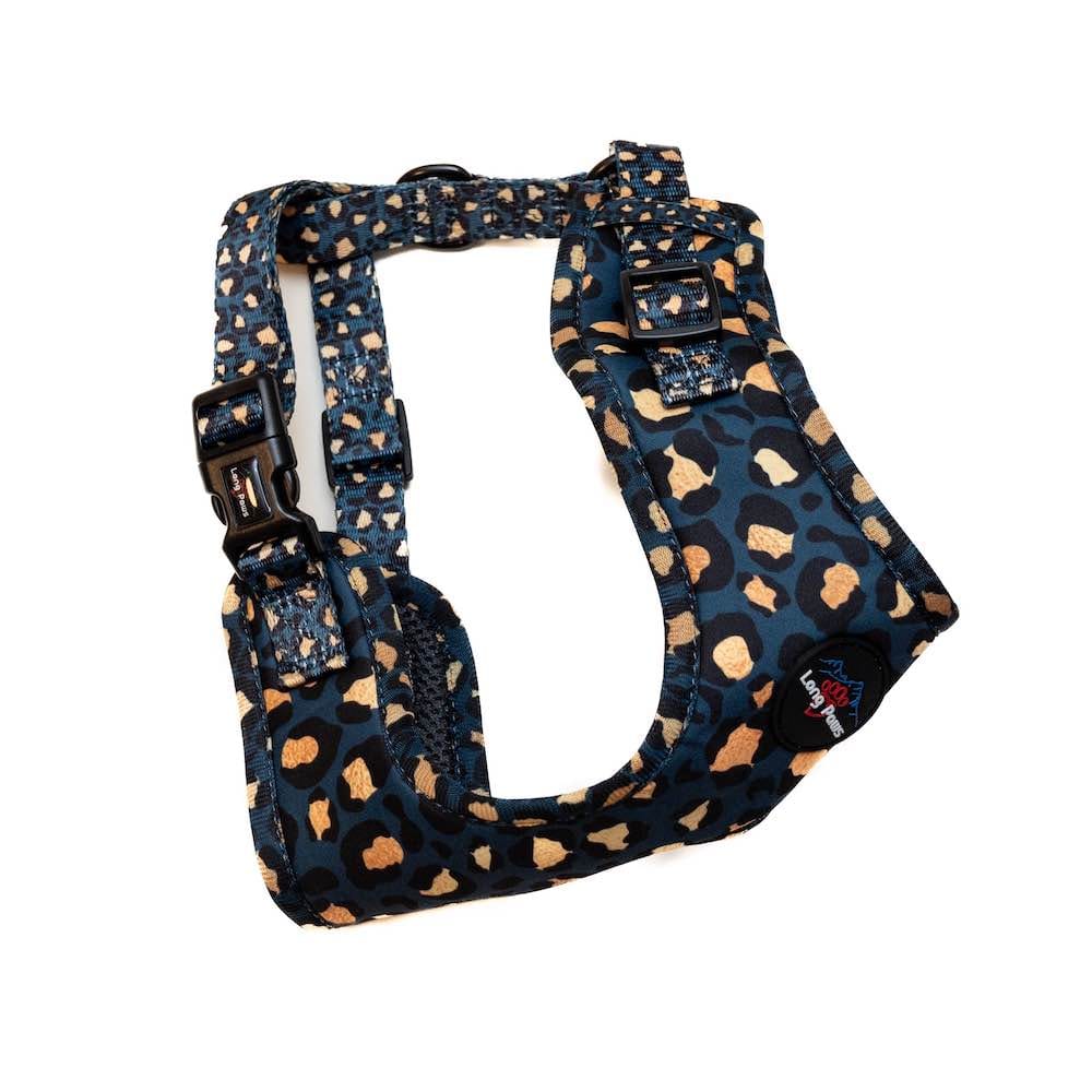 Harleys Companions - Funk the Dog Harness & Lead Set | Leopard Green & Gold