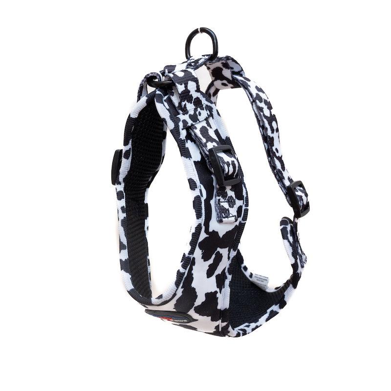 Harleys Companions - Funk the Dog Harness & Lead Set | Cow Print