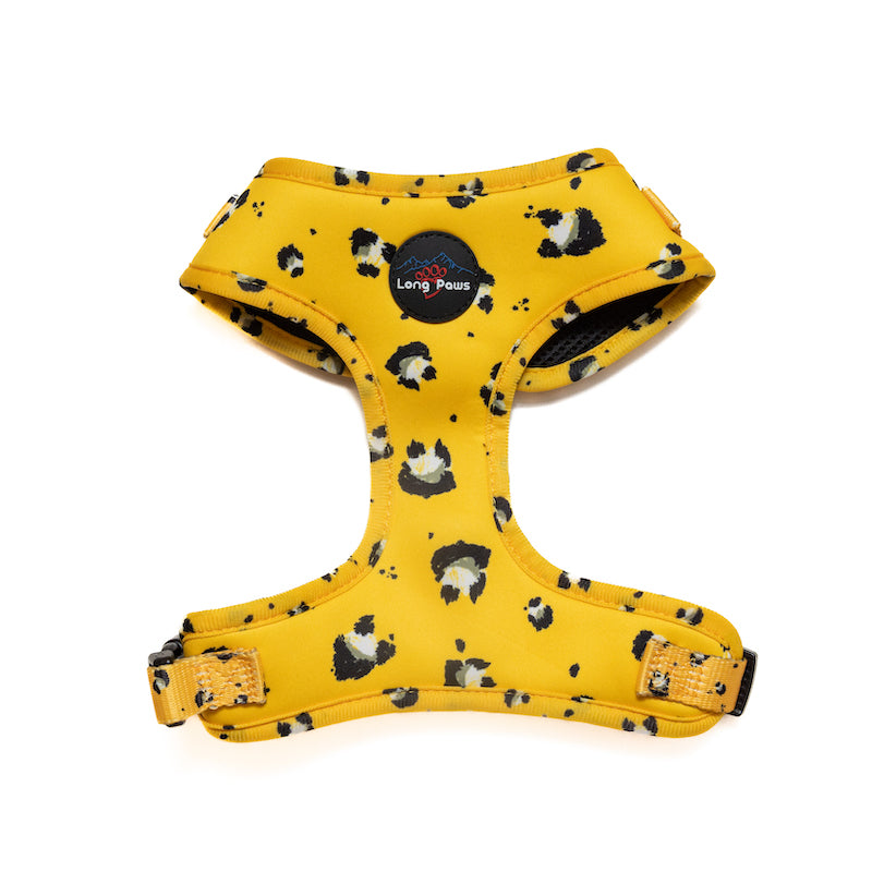 Harleys Companions - Funk the Dog Harness & Lead Set | Mustard Panda