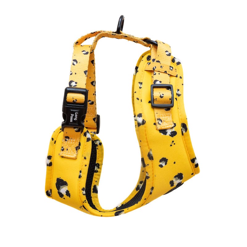 Harleys Companions - Funk The Dog Harness | Mustard Panda